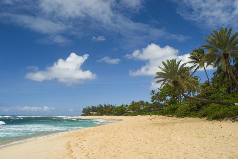 Photo of playwright on a beach.